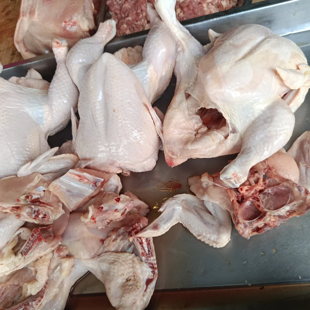 chicken jsmy meat import